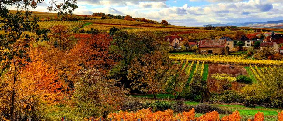 Oktober wird zum neuen Reisemonat - Lesen Sie die Nachrichten