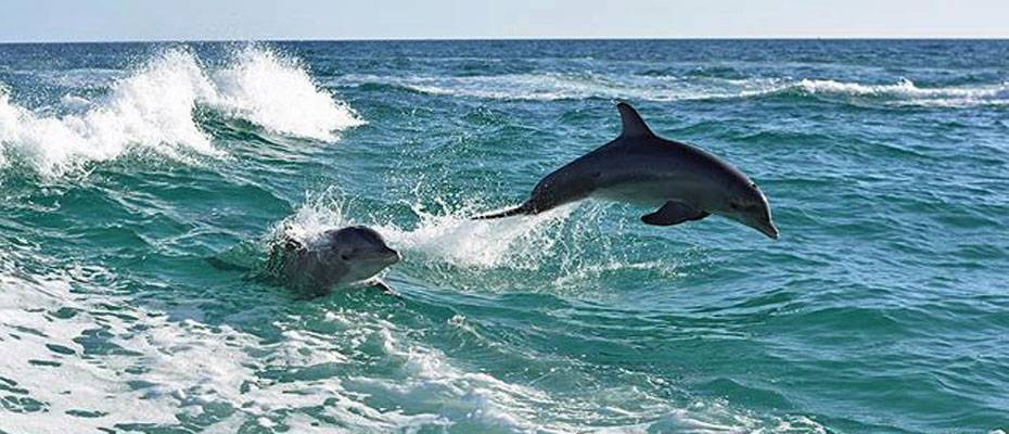 Panama City Beach: Zwischen Retro-Charme und Lifestyle-Trends - Lesen Sie die Nachrichten