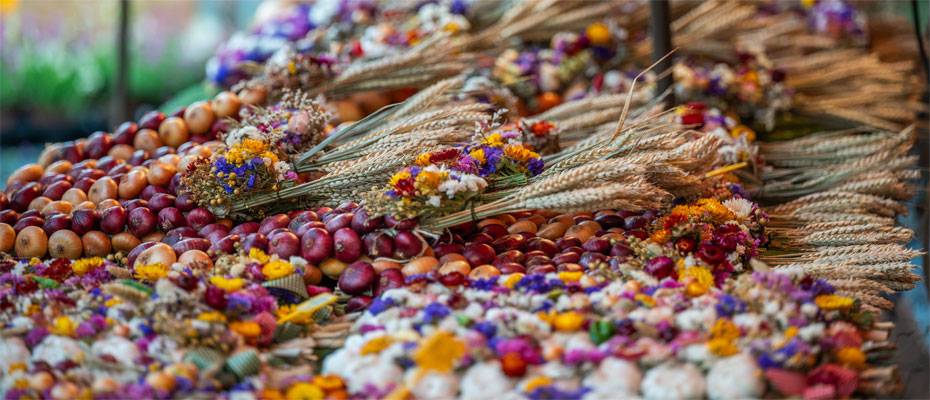 Thüringen feiert den Herbst mit Märkten, Festen und Traditionen - Lesen Sie die Nachrichten