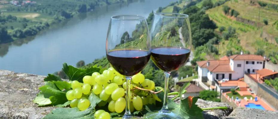 VIVA Cruises kündigt neue Culinary Cruises ab Paris und Porto an - Lesen Sie die Nachrichten