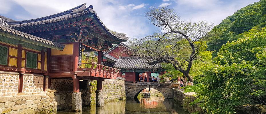 DIAMIR lädt zum Südkorea-Webinar für Reisebüros am 26. September - Lesen Sie die Nachrichten