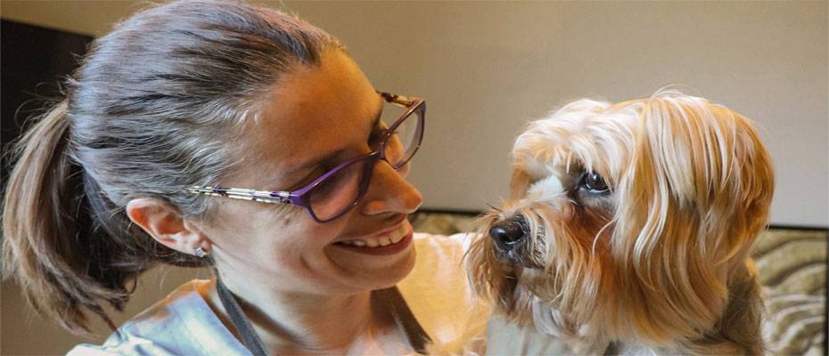 Vier Pfoten im Wellness-Himmel: Six Senses verwöhnt Mensch und Tier - Lesen Sie die Nachrichten