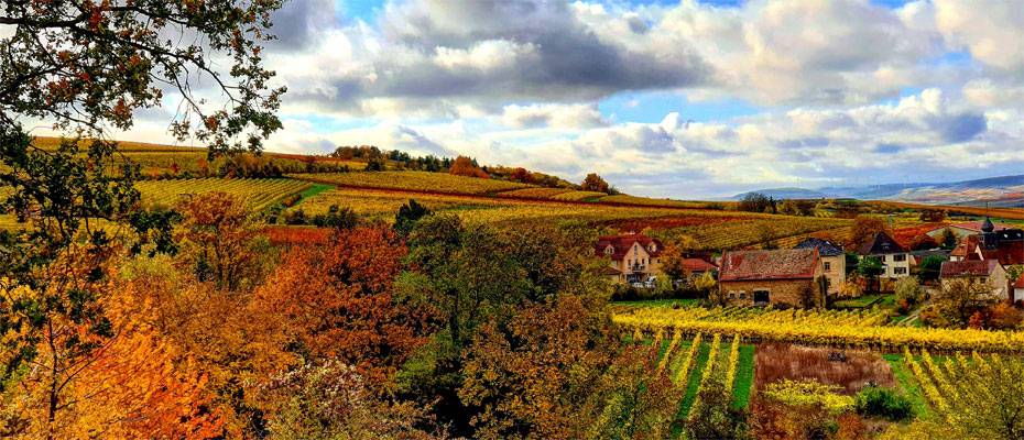 Herbstzeit ist Wanderzeit: DIWA startet mit neuen Touren in die goldene Saison - Lesen Sie die Nachrichten