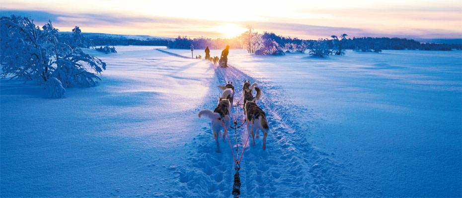 Winterzauber in Finnland – trendtours startet neue Erlebnisreise - Lesen Sie die Nachrichten