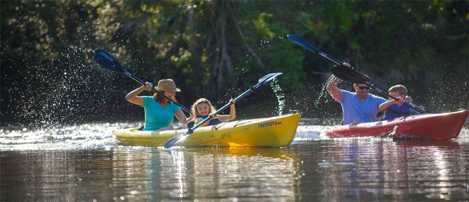 Aktivurlaub in Sarasota County: Naturerlebnisse und kulinarische Vielfalt - Lesen Sie die Nachrichten
