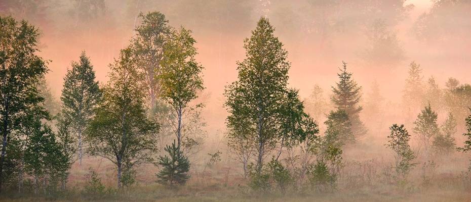 Naturkraft und wilde Schönheit: 20 Jahre Tölzer Moorheilbad - Lesen Sie die Nachrichten