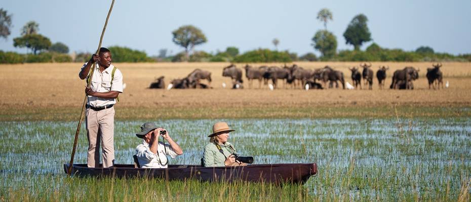 Faszination Okavango-Delta – Am Puls von Afrikas letztem wilden Feuchtgebiet - Lesen Sie die Nachrichten