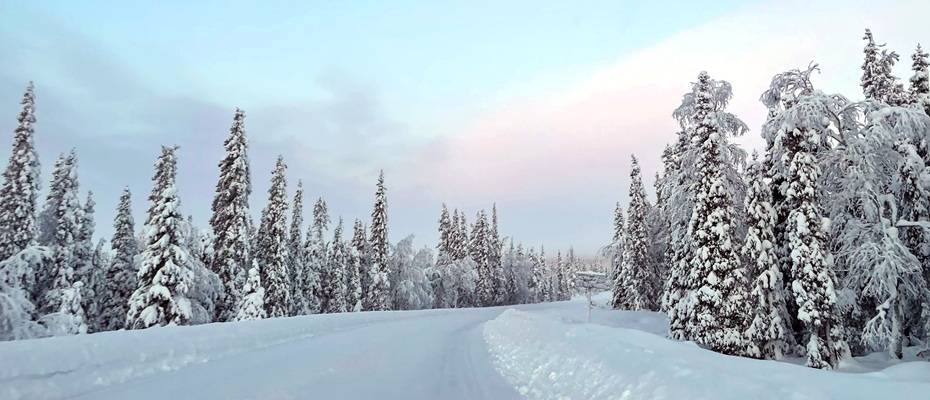 Iceland tops TUI’s winter wish list with 92 percent surge in holiday searches - Lesen Sie die Nachrichten?>