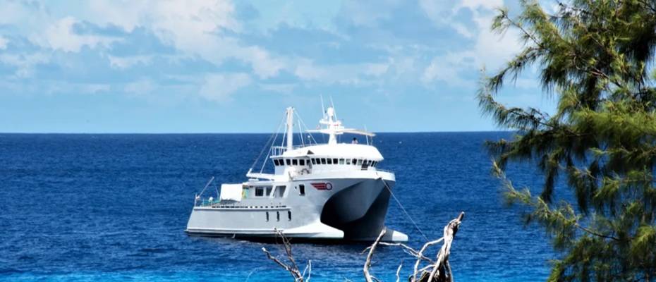 Neue Expedition zum Aldabra-Atoll – nur sechs Gäste an Bord - Lesen Sie die Nachrichten