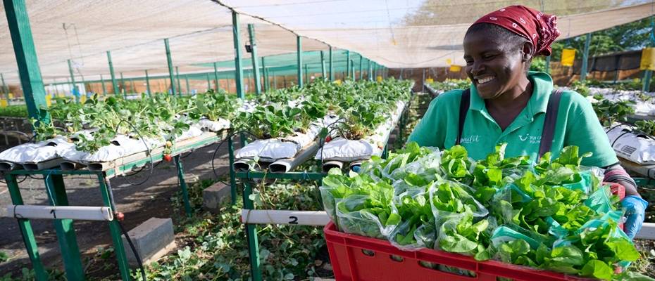 TUI Care Foundation and UN Tourism Launch Global ‘Tourism Food for Good’ Initiative - Lesen Sie die Nachrichten?>