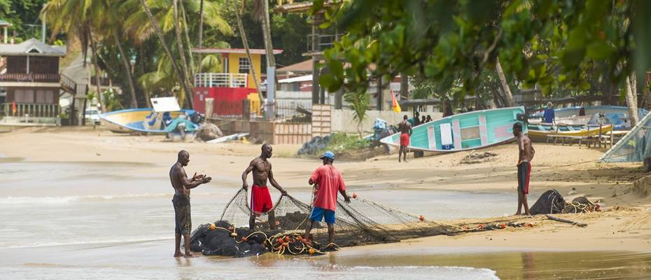 Tobago hautnah – Die Karibik zum Anfassen - Lesen Sie die Nachrichten
