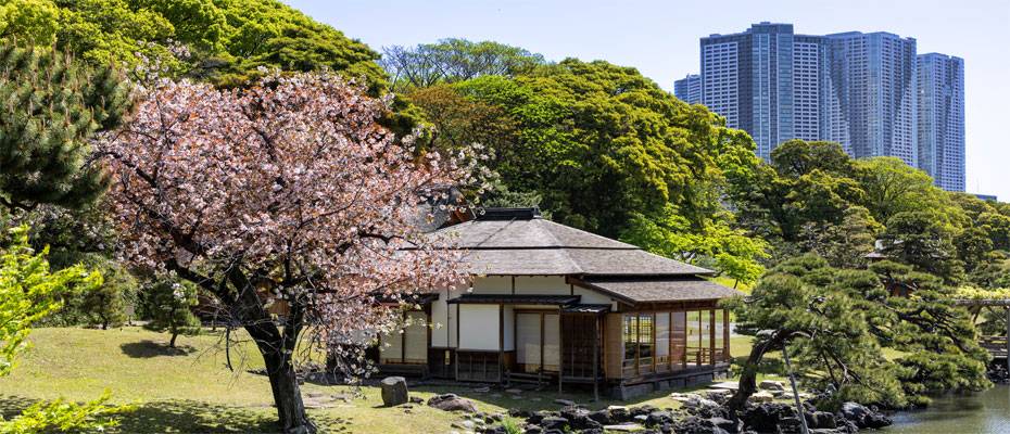 Kirschblüte, Karneval, Kulinarik: Mit Silversea weltweite Großevents exklusiv erleben - Lesen Sie die Nachrichten