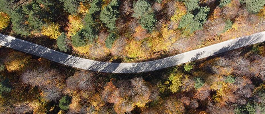 Bilecik ormanlarında sonbahar renkleri büyülüyor - Lesen Sie die Nachrichten?>