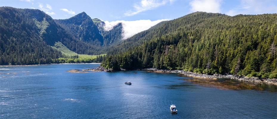 Früh buchen, mehr genießen: MSC Cruises startet mit starkem Angebot in die Wave Season 2025/26 - Lesen Sie die Nachrichten