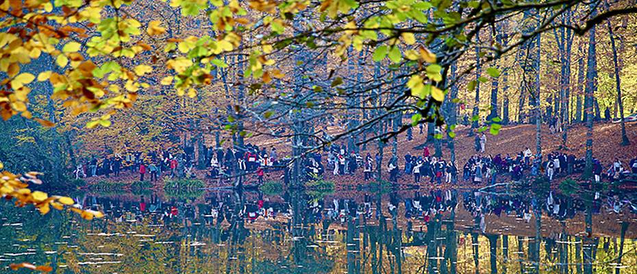 Yedigöller sonbahar renkleriyle büyülüyor: ‘Orman denizi’nde ziyaretçi akını - Lesen Sie die Nachrichten?>