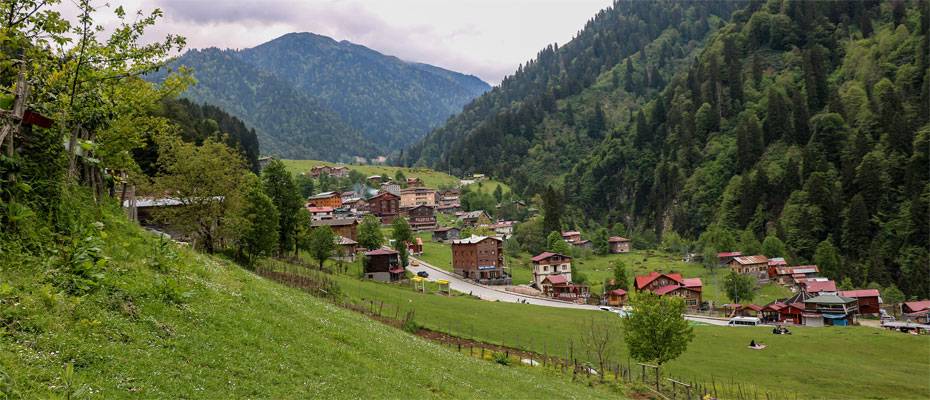 Die Schwarzmeerküste der Türkei zählt zu National Geographics ‘Best of the World 2026’ - Lesen Sie die Nachrichten
