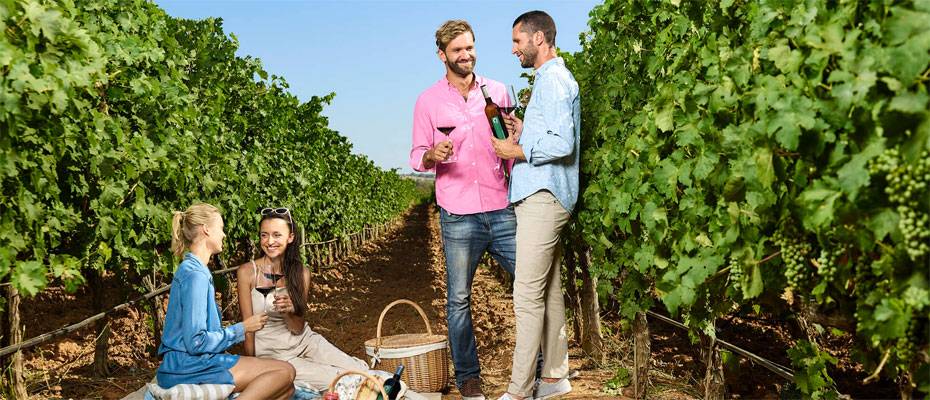 Weine mit Zukunft: Die Algarve zeigt ihr verborgenes Potenzial - Lesen Sie die Nachrichten