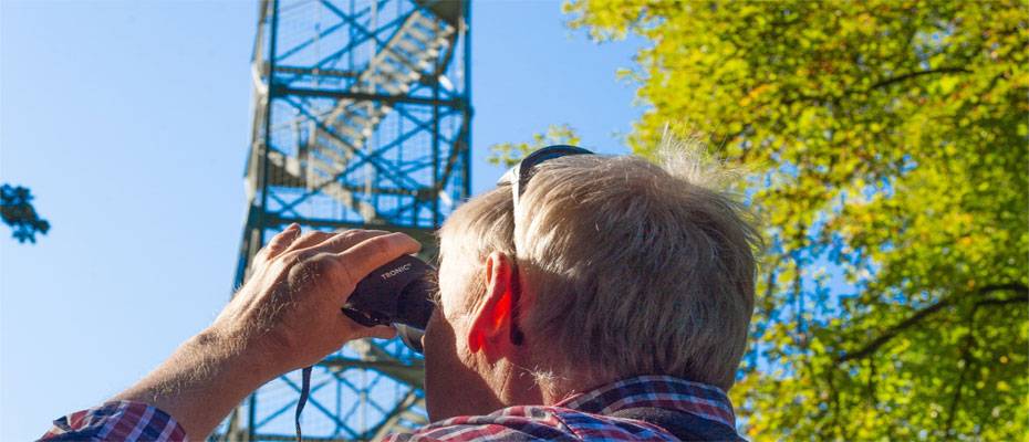 Bad Pyrmont zählt zu Niedersachsens schönsten Kleinstädten - Lesen Sie die Nachrichten