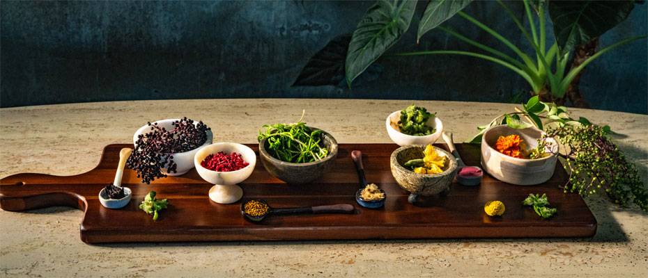 Kimpton unveils the flavours and techniques shaping global dining in 2026 - Lesen Sie die Nachrichten?>