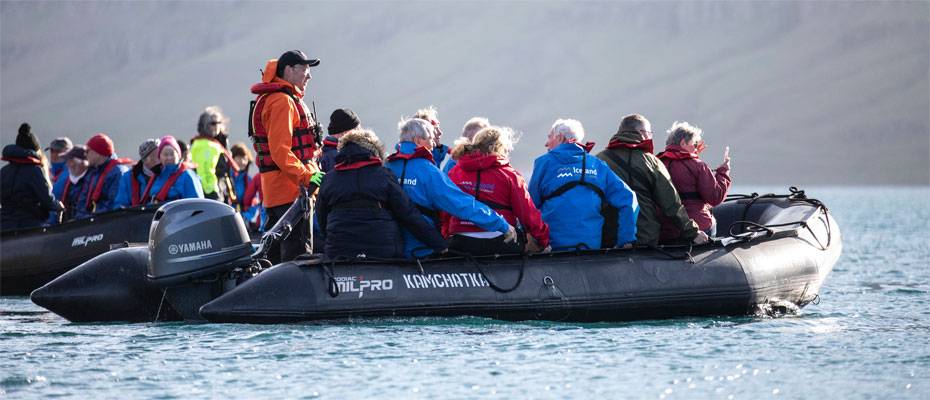 Arctic ProCruises startet neue Island-Expedition 2026 - Lesen Sie die Nachrichten