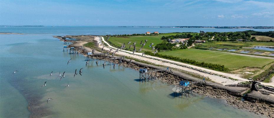 Mehr als Meer - Lesen Sie die Nachrichten