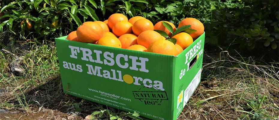 alltours kış sezonuna Akdeniz tazeliği katıyor - Lesen Sie die Nachrichten?>