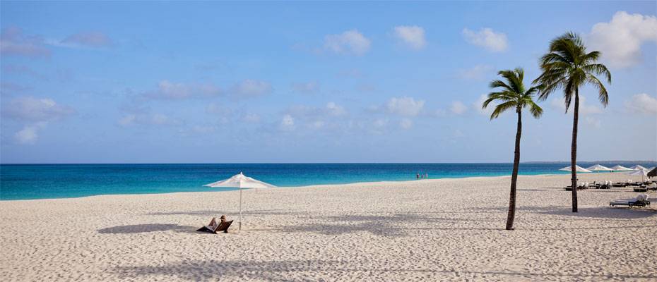 Aruba präsentiert neues Kampagnen-Rebranding - Lesen Sie die Nachrichten