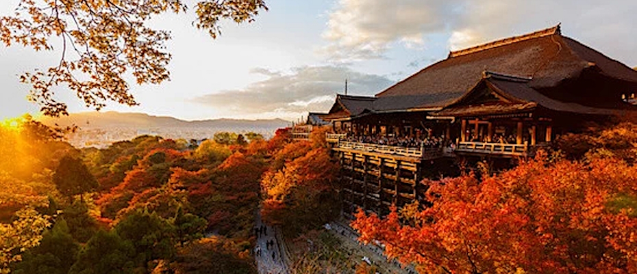 Eine Reise, die Tradition und Moderne Japans auf eindrucksvolle Weise vereint - Lesen Sie die Nachrichten