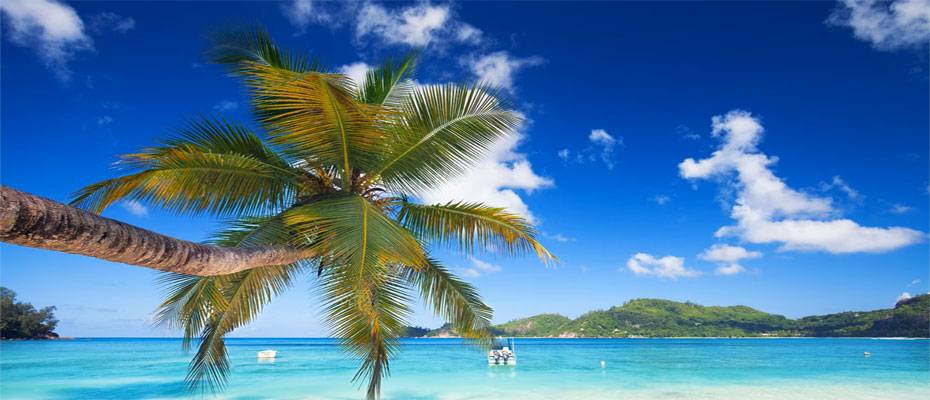 alltours startet Verkauf des Winterprogramms 2026/27 - Lesen Sie die Nachrichten