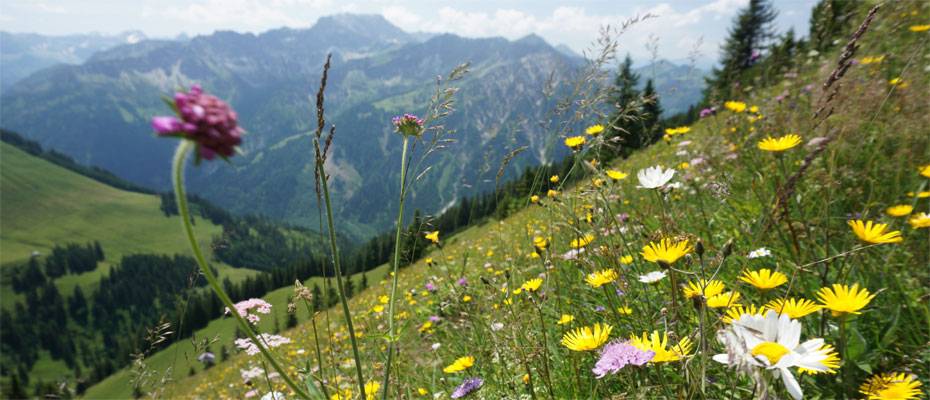 UNESCO-Erbe in Südbayern 2026 entdecken - Lesen Sie die Nachrichten