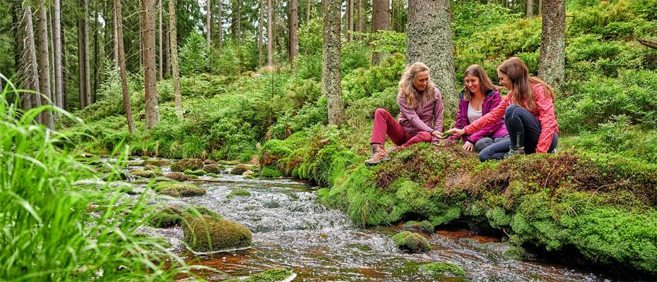 Wasser vom Dach Europas prägt das Fichtelgebirge - Lesen Sie die Nachrichten