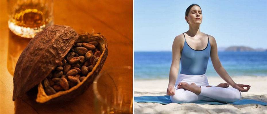 Marriott Showcases Latin America Through Immersive Cultural Experiences - Lesen Sie die Nachrichten?>