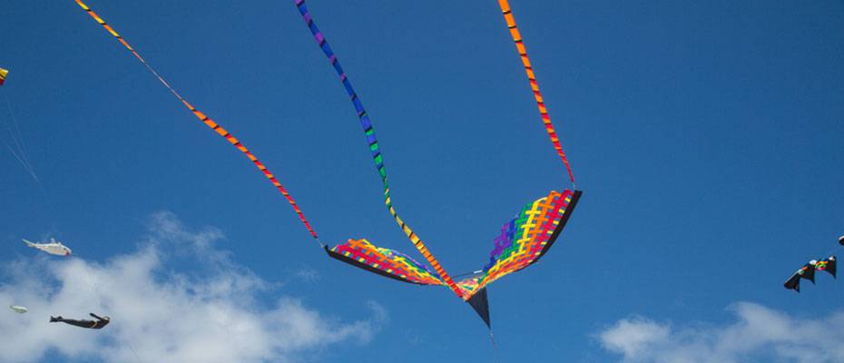 Karibisches Ostern: Drachen am Himmel, Picknicks am Strand - Lesen Sie die Nachrichten