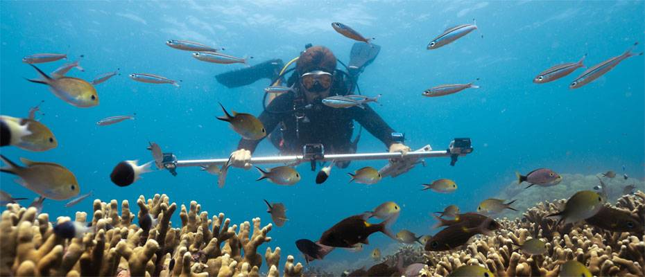 Six Senses Kanuhura etabliert weltweit erstes 3D-Riffmonitoring in einem Resort - Lesen Sie die Nachrichten
