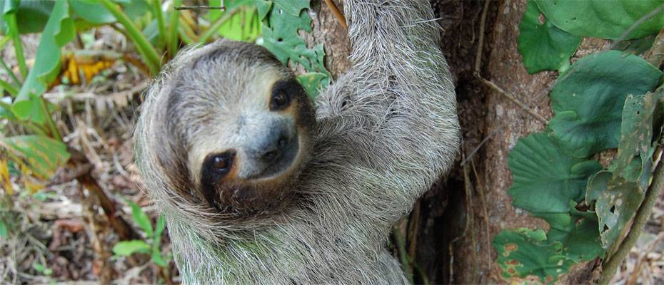 For Family Reisen startet mit erweitertem Familienprogramm ins Reisejahr 2026 - Lesen Sie die Nachrichten