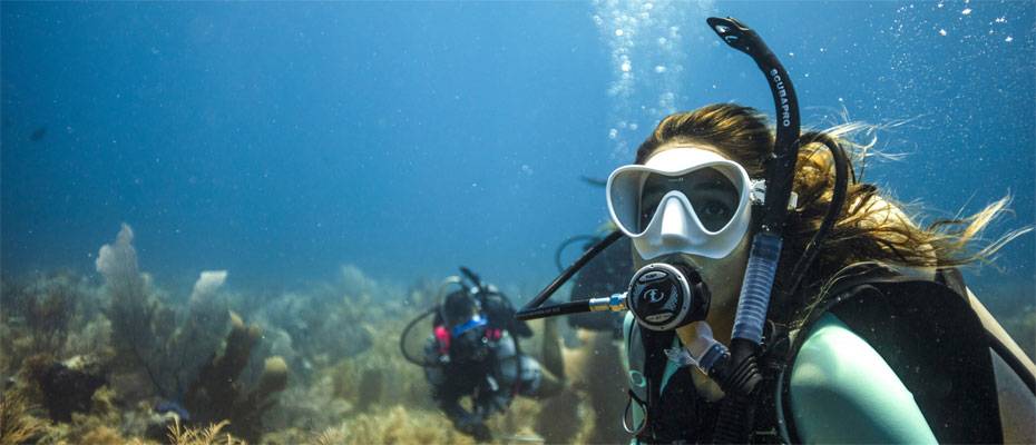 TAT Strengthens Dive Tourism with PADI Partnership - Lesen Sie die Nachrichten?>
