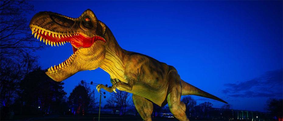 Winterferien im egapark mit Dino Lights und Regenwald-Vortrag - Lesen Sie die Nachrichten