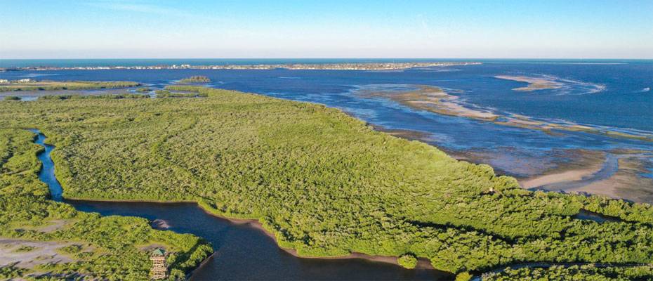 Bradenton Gulf Islands: Wo Natur und Umweltschutz die Reise bestimmen - Lesen Sie die Nachrichten