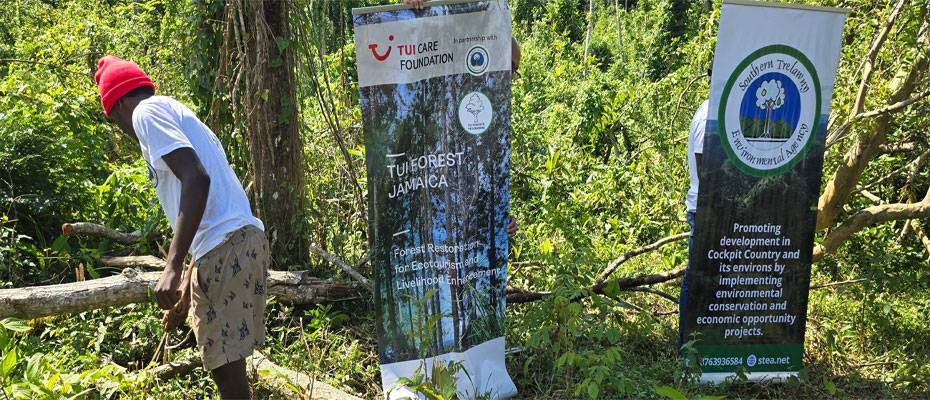 TUI Care Foundation launches reforestation initiative in Jamaica’s Cockpit Country - Lesen Sie die Nachrichten?>