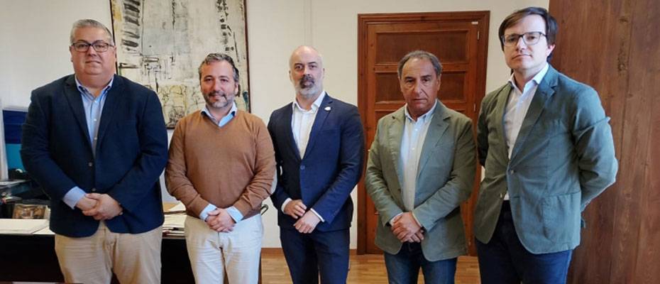 Mallorca baut Kameranetz zur Verkehrssteuerung aus - Lesen Sie die Nachrichten