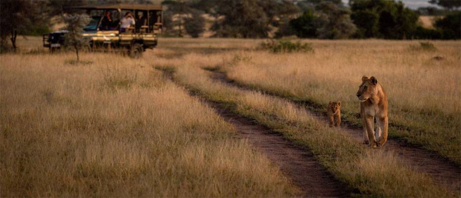 Exklusive Fotoreisen: atambo tours setzt auf private Fotoabenteuer - Lesen Sie die Nachrichten