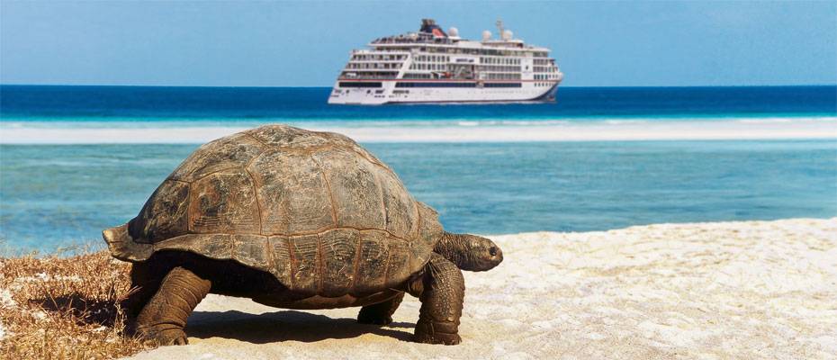 Zugang statt Oberfläche: Hapag-Lloyd Cruises vertieft Expeditionen im Indischen Ozean - Lesen Sie die Nachrichten