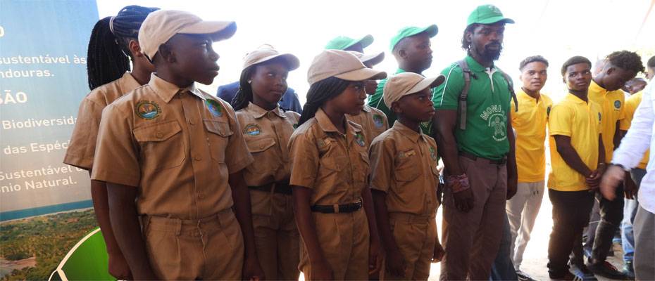 Mangrovenschutz im Maputo-Nationalpark: TUI Care Foundation startet Wiederaufforstungsprojekt  - Lesen Sie die Nachrichten