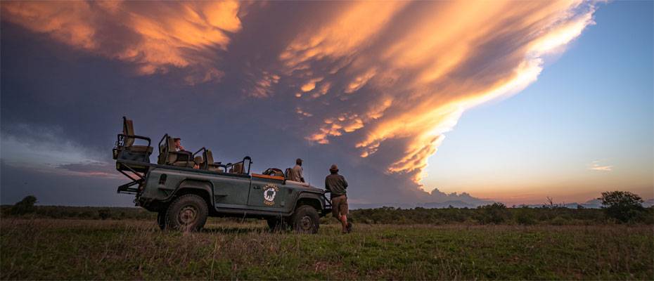 Südafrika setzt 2026 verstärkt auf Noctourismus - Lesen Sie die Nachrichten