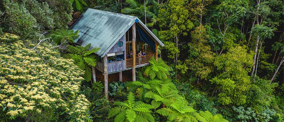 Tropical North Queensland: Naturerlebnisse als Quelle für mehr Wohlbefinden - Lesen Sie die Nachrichten