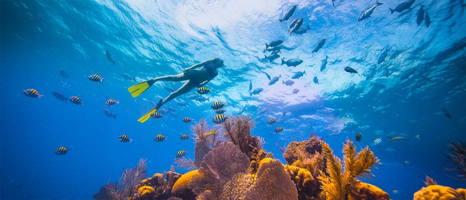 Belize positioniert sich 2026 als Ziel für bewusstes Reisen - Lesen Sie die Nachrichten