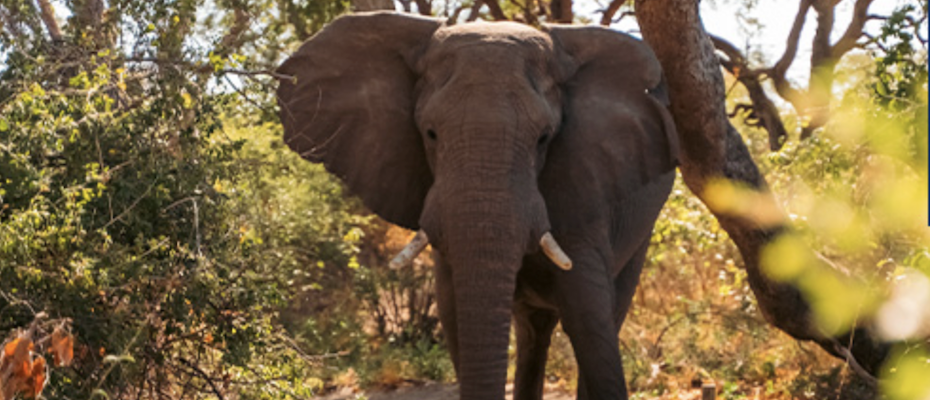 Das südliche Afrika im Slow-Travel-Rhythmus - Lesen Sie die Nachrichten