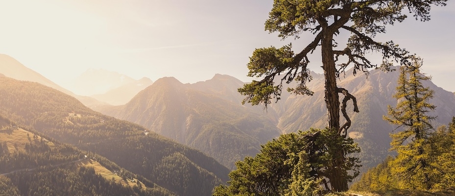 Das Wallis stärkt nachhaltigen Tourismus - Lesen Sie die Nachrichten