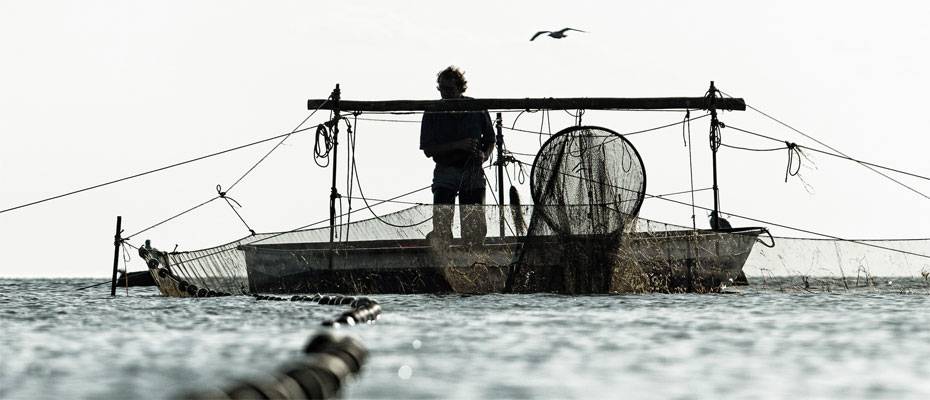 Kleine Küstenfischerei in Mecklenburg-Vorpommern als Immaterielles Kulturerbe anerkannt - Lesen Sie die Nachrichten