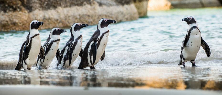 Boomerang startet begleitete Fernreisen ab Deutschland - Lesen Sie die Nachrichten